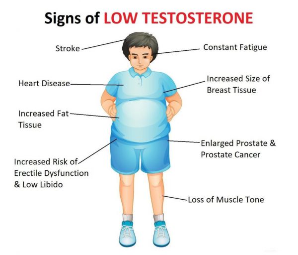 کیت تستسترون کیت Testosterone هورمون جنسی مردانه تستسترون باروری اوج آزما 1228